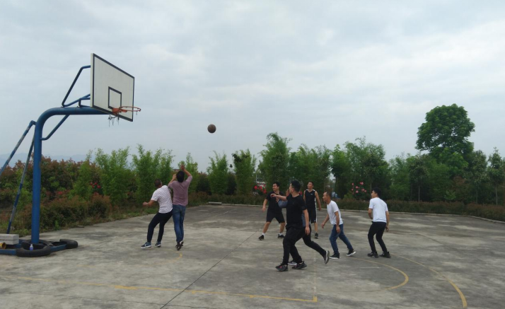篮球1.png